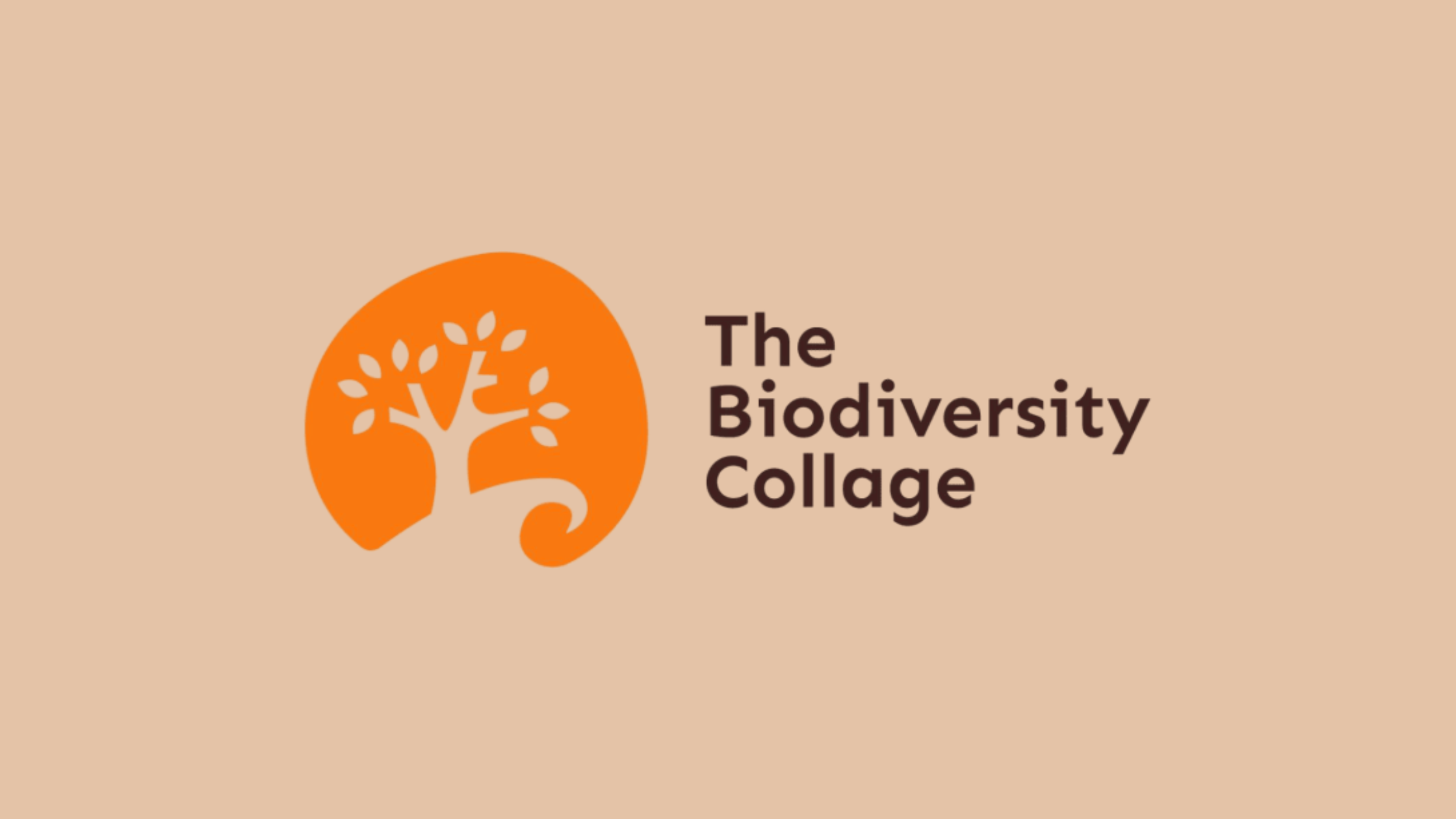 People For Nature partners with La Fresque de la Biodiversité to advance biodiversity education in Australia