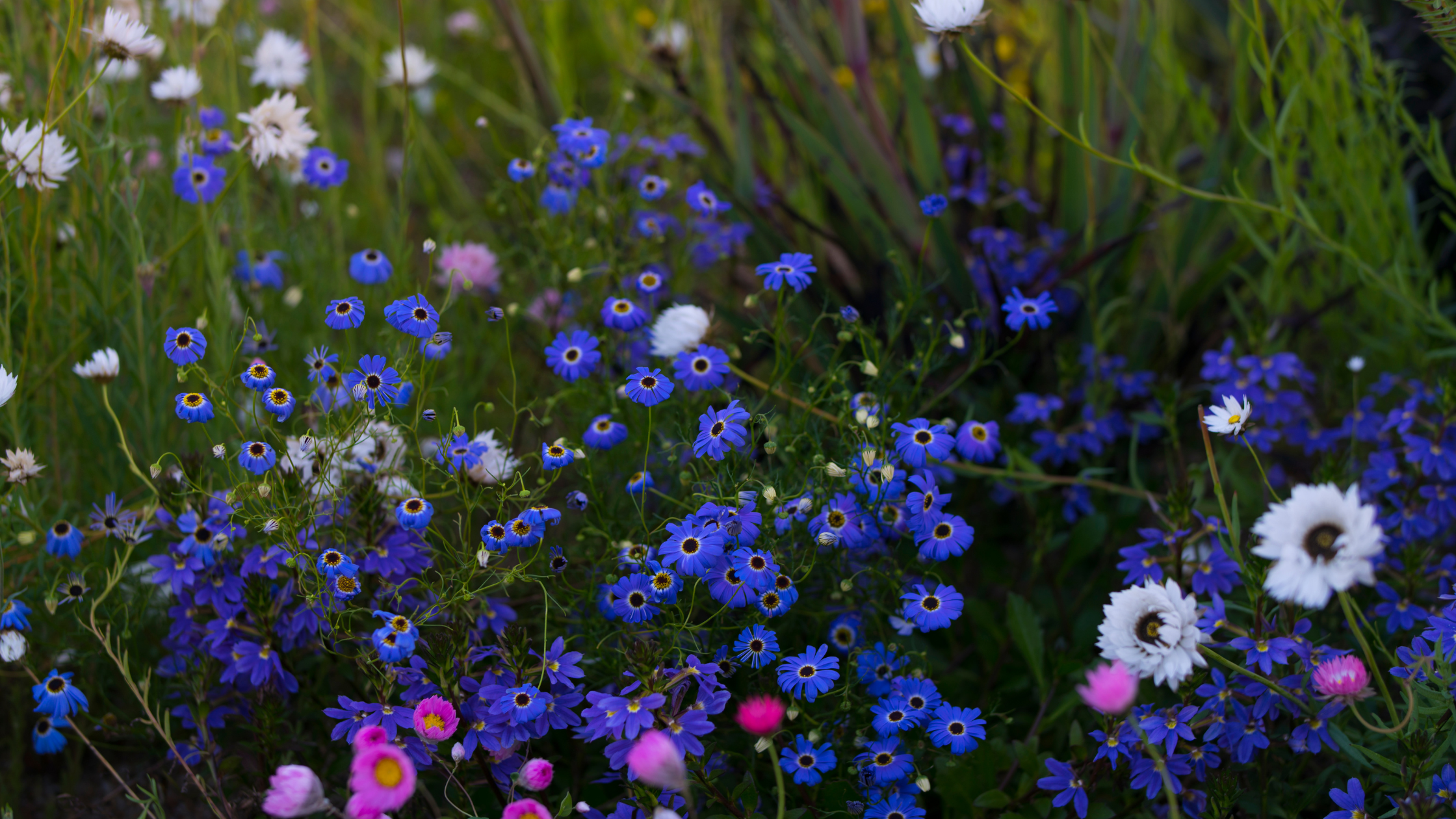 How to create a Nature Oasis