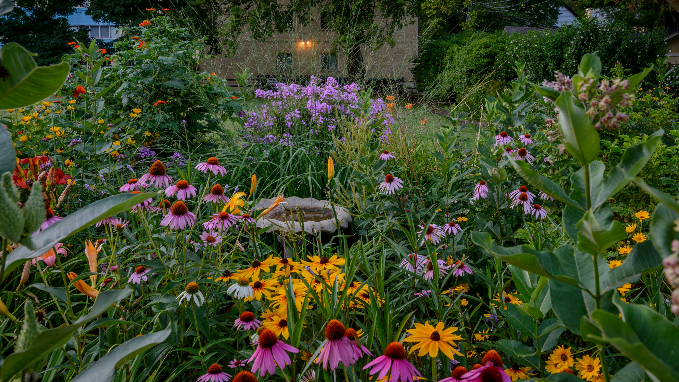 Join the Nature Oasis initiative 