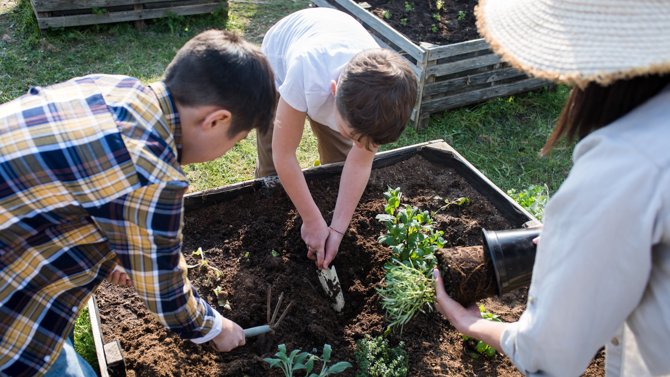 Teaching sustainability at home: simple everyday actions that matter