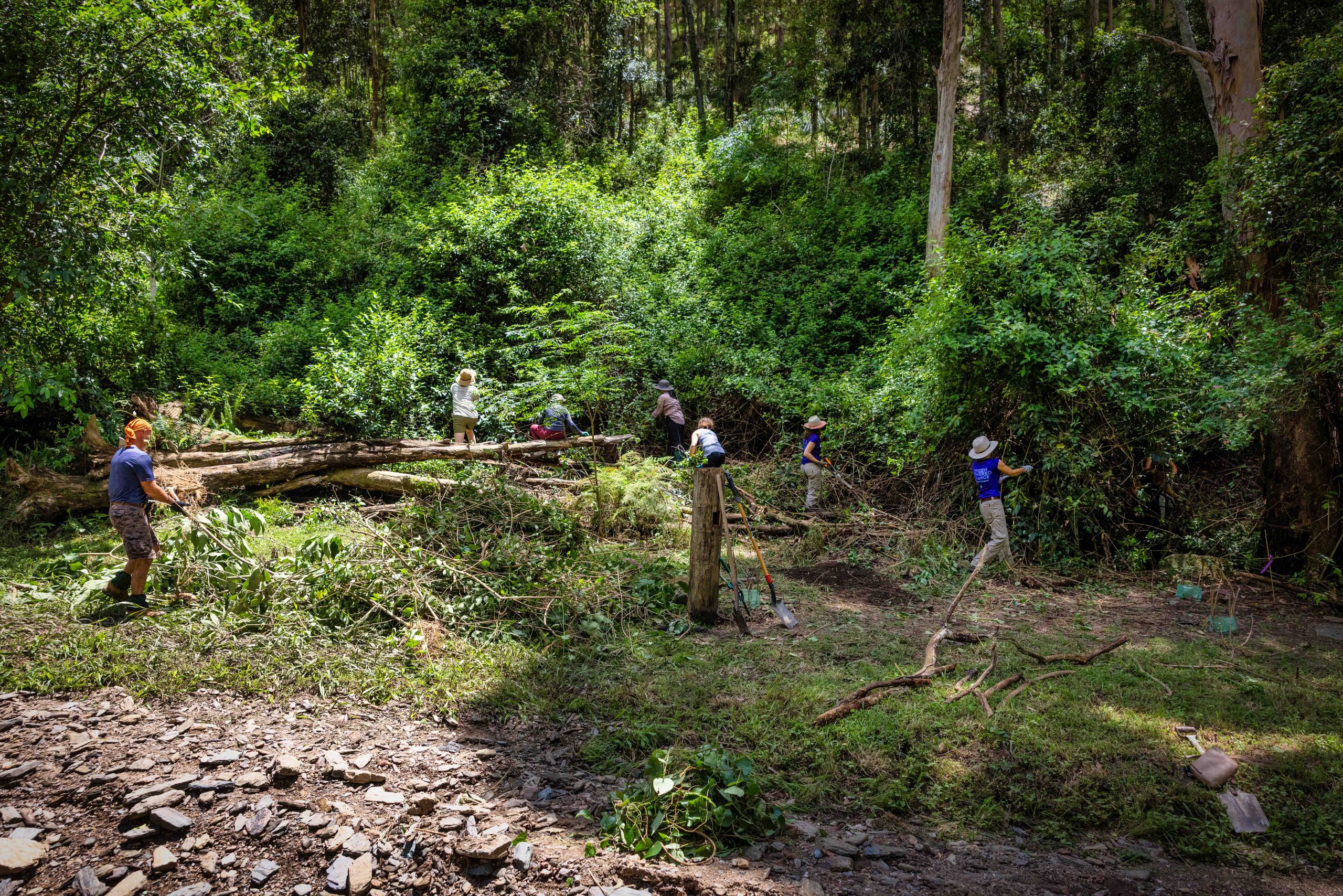 Certified Environmental Practitioners (CEnvP): credibility, ethics and environmental expertise