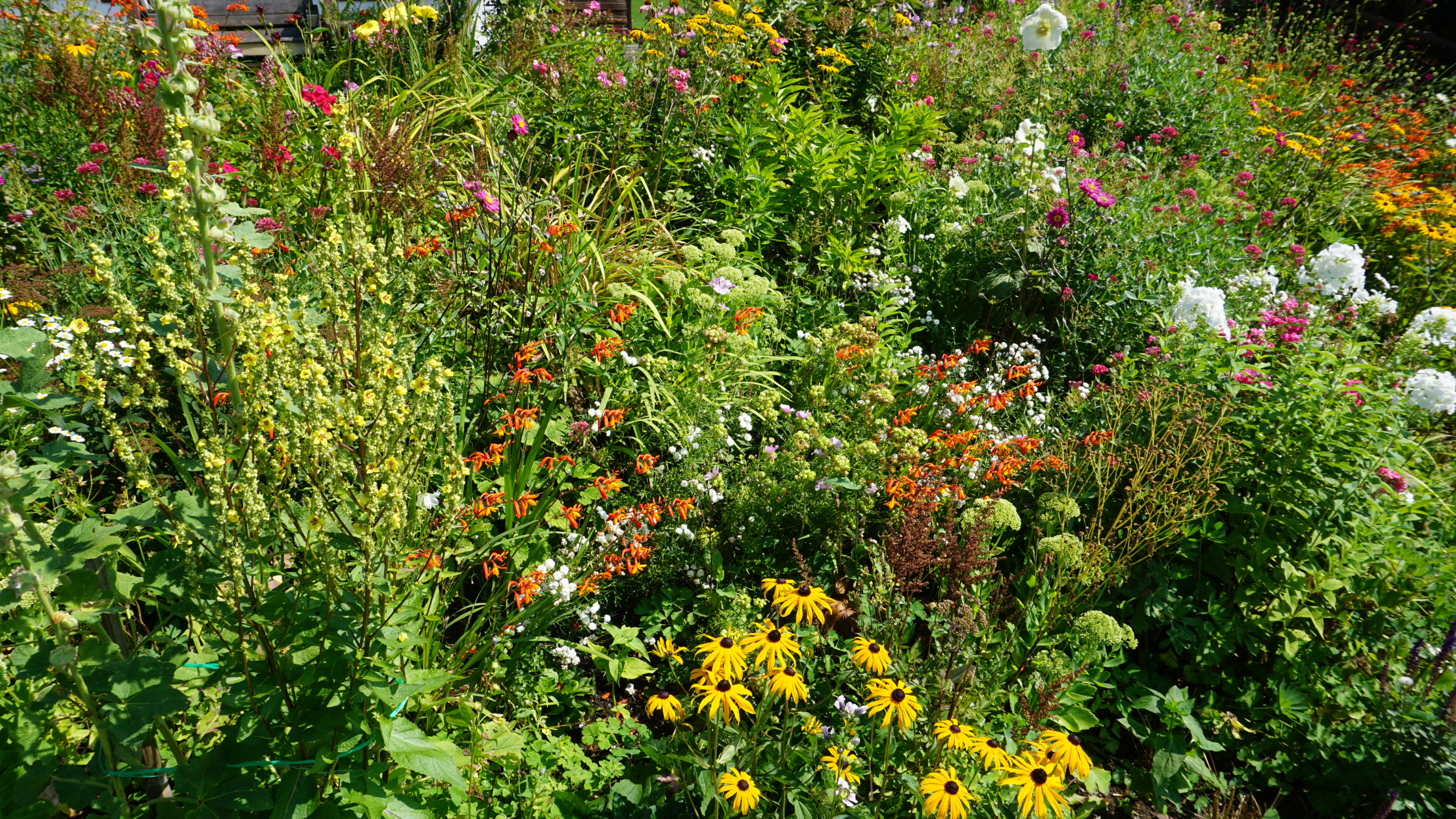Simple ways to help biodiversity