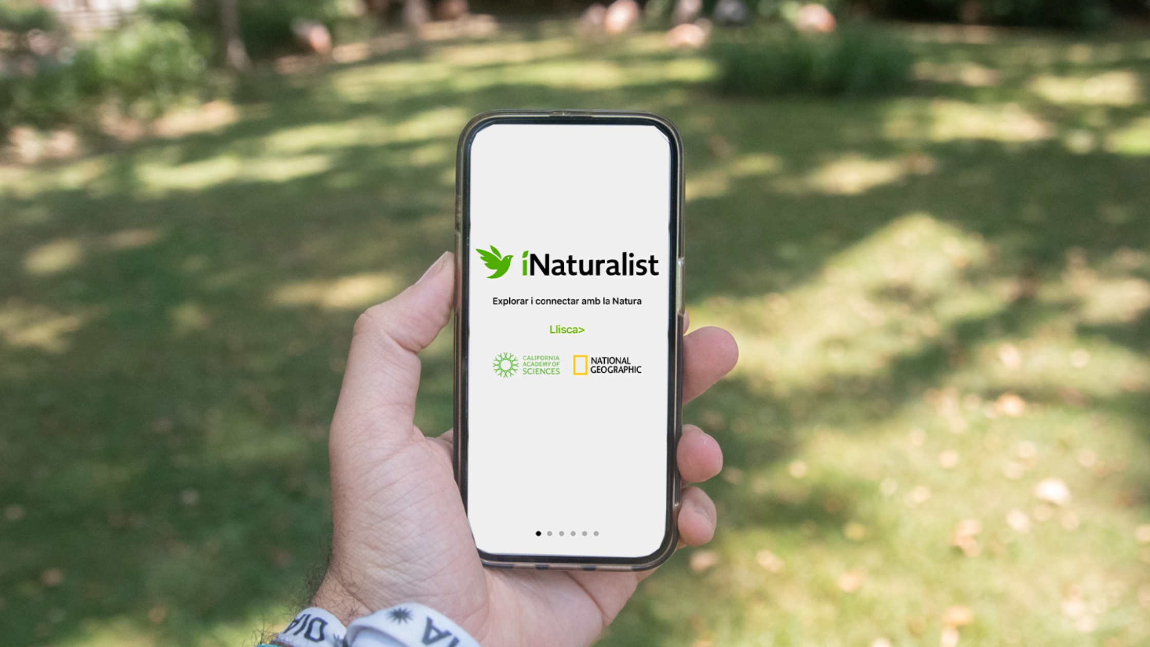 Your Nature Oasis is a citizen science hotspot