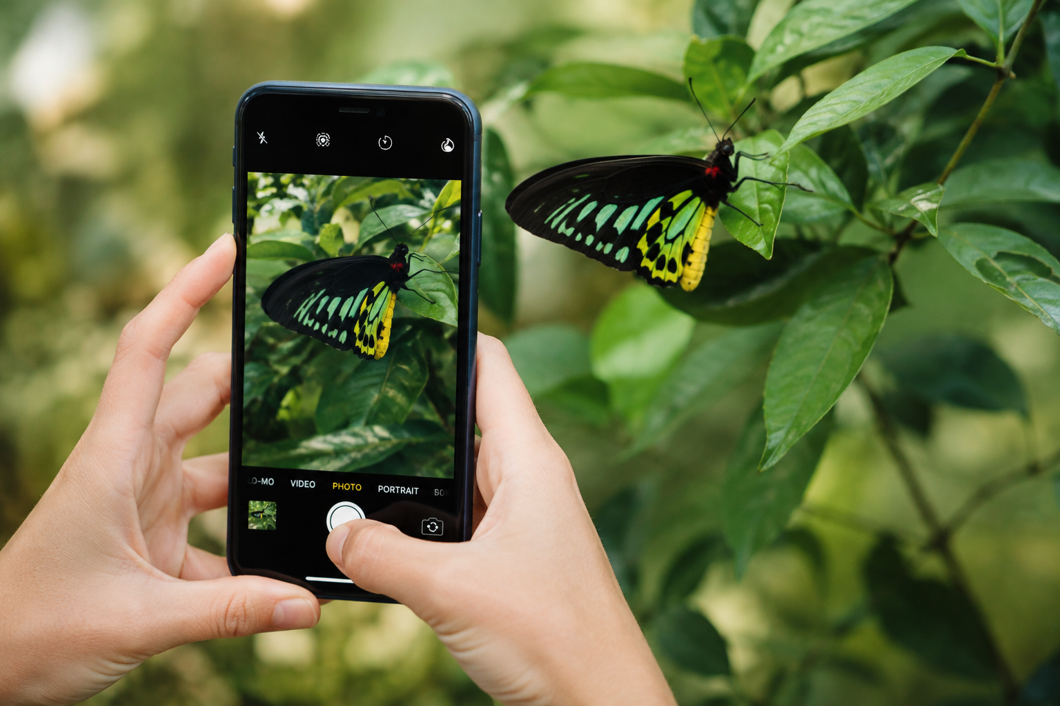 From Curious Citizens to Collective Change: The Power of Citizen Science
